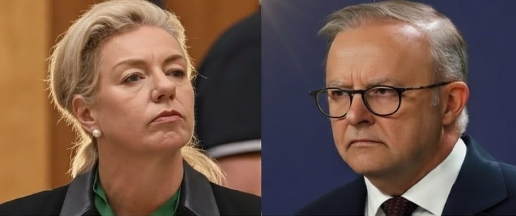 Anthony Albanese FURIOUS After Bridget McKenzie UNCOVERS His Dirty Secrets in Explosive Interview 2 image 1