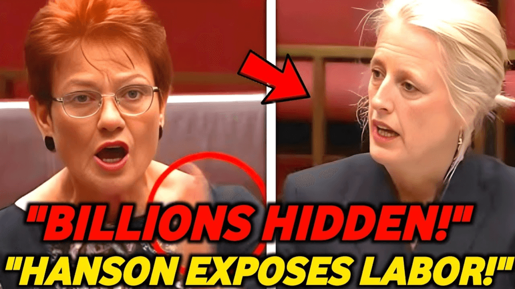 In a High-Stakes Parliamentary Showdown, Pauline Hanson Unleashes Fiery Charges Against Ministers Katy Gallagher and Penny Wong, Demanding Urgent Clarity on Hidden Costs of Labour’s Ambitious Capacity Investment Scheme Amid Soaring Energy Prices! 2 image 1114