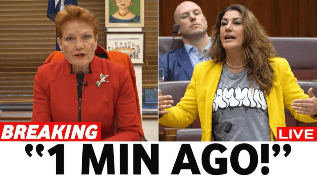 Political Shockwaves Erupt as Pauline Hanson Exposes Lidia Thorpe’s Radical Agenda on the Voice to Parliament, Igniting a Fiery Clash That Threatens Australia’s Democratic Foundations and Sparks a National Debate on Sovereignty, Unity, and Justice 2 image 1121