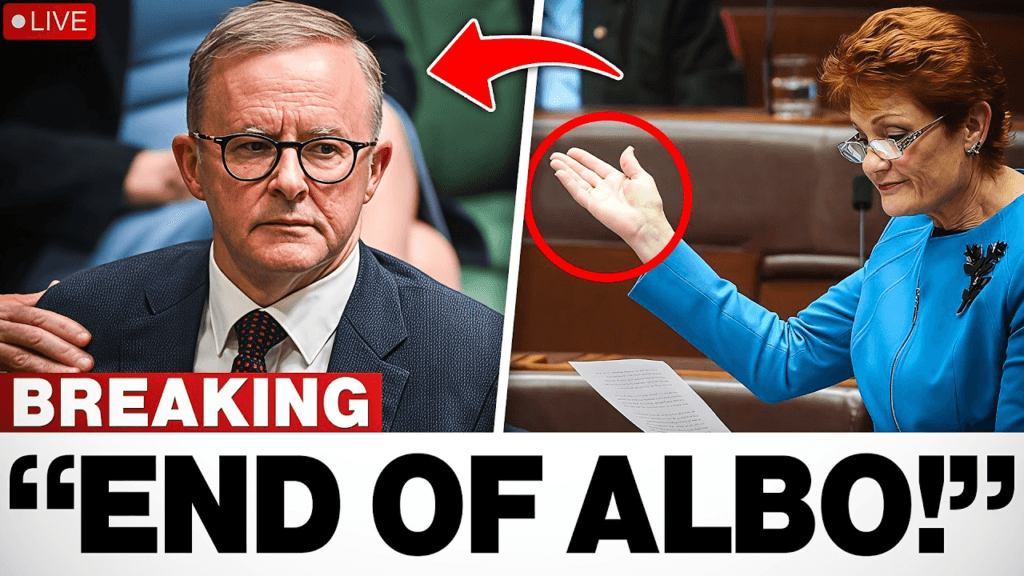 In a Heated Senate Clash, Albanese’s Composure Falters: The Shocking Accusations Revealed by Hanson Unveil an 11-Point Plan That Could Alter Australia’s Future—Is This the Path to Unity or Division? Discover the Truth Behind the Voice Referendum Debate! 2 image 1147