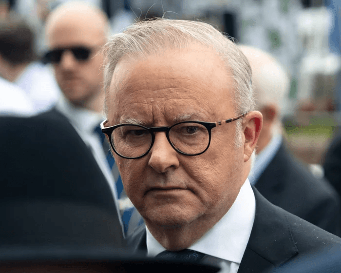 Albanese panics as Labor ousts him after he refuses to call a Royal Commission following the Bondi attack 2 image 1172