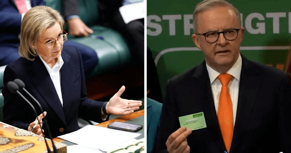 Albanese in Panic Mode as Sussan Ley Demands His Resignation for “Letting Australians Down” 2 image 1183