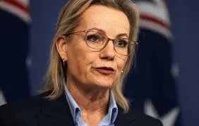 Albanese in Panic Mode as Sussan Ley Demands His Resignation for “Letting Australians Down” 3 image 1184