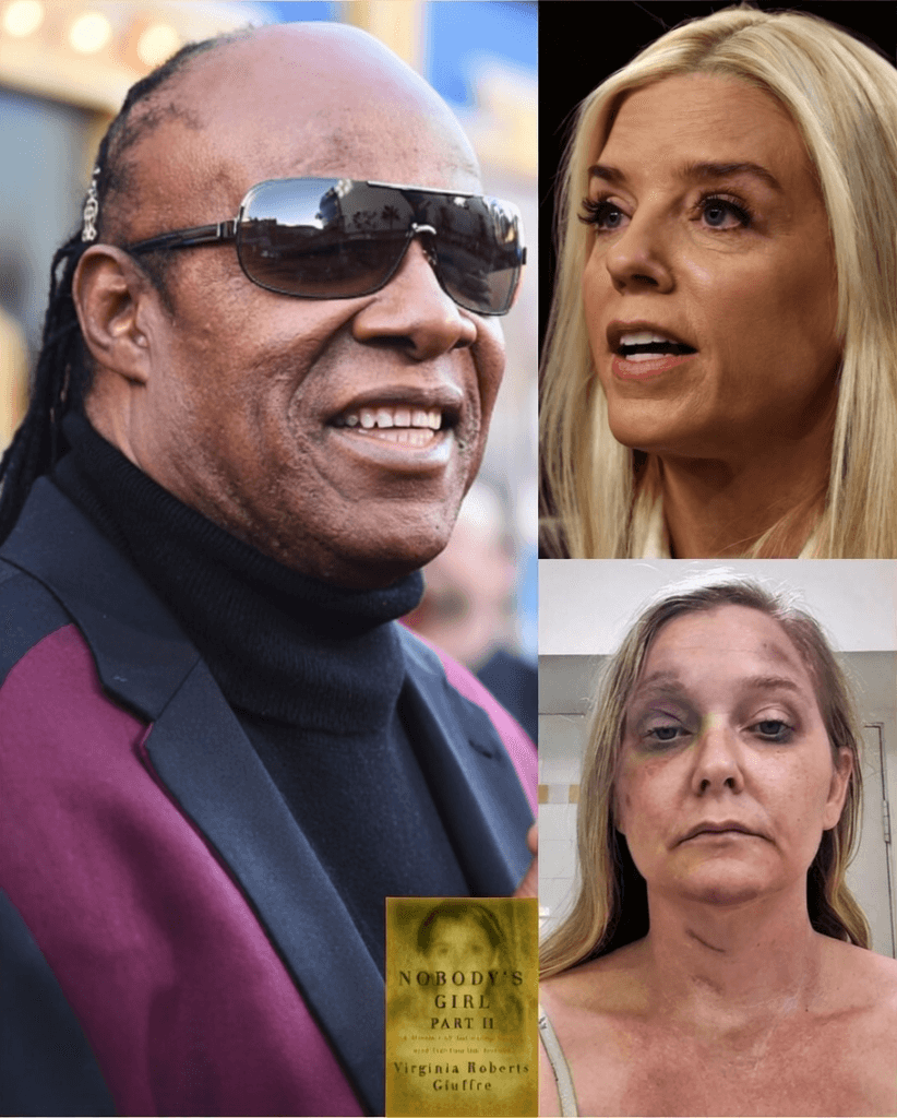 Stevie Wonder’s Unforgettable Moment: The Day the Music Stopped and Justice Spoke 1 image 300