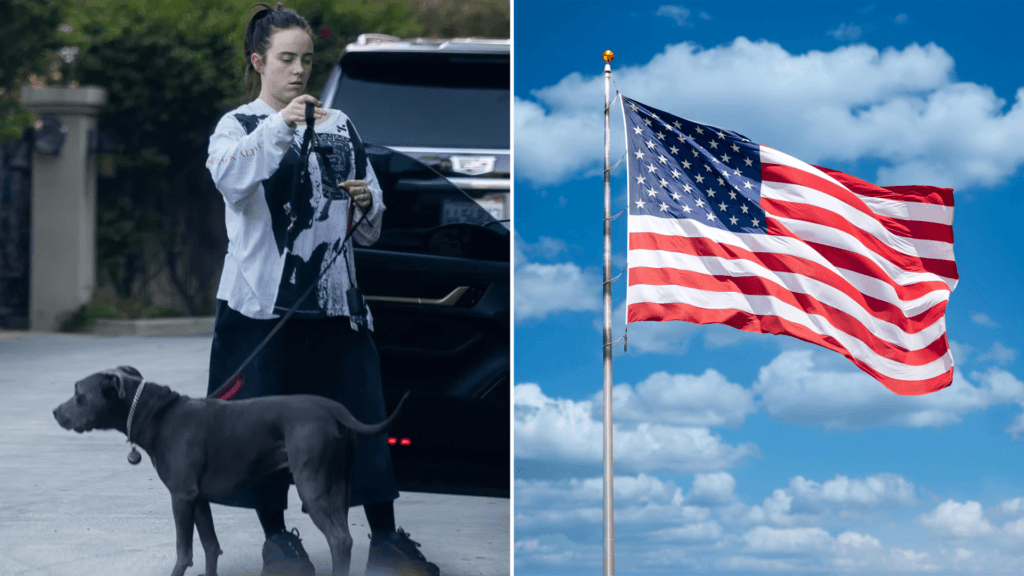 Billie Eilish Plans To Leave The US Immediately After The Backlash, “I Cannot Live On A Stolen Land” 2 image 305