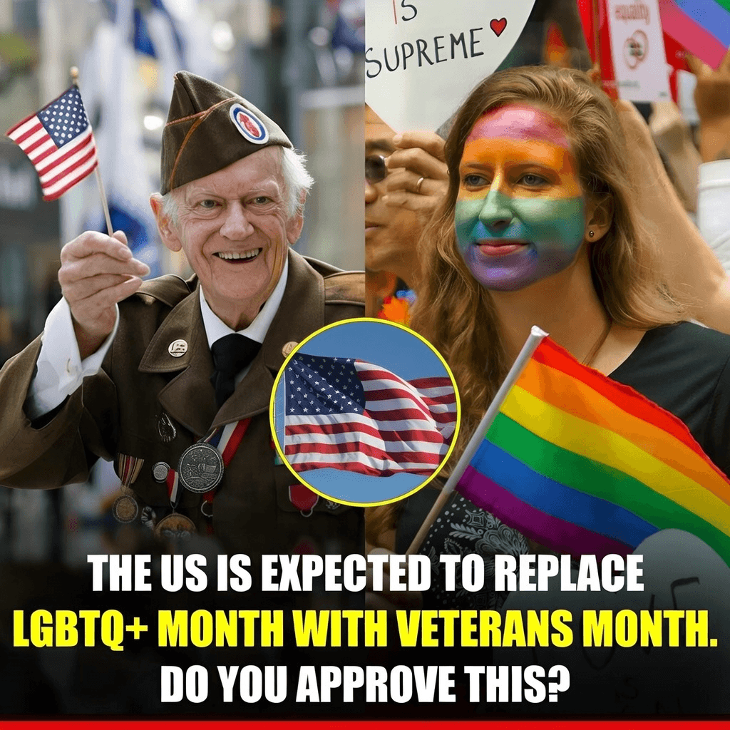 BREAKING: THE US IS EXPECTED TO REPLACE LGBTQ+ MONTH WITH VETERANS MONTH. 1 image 348