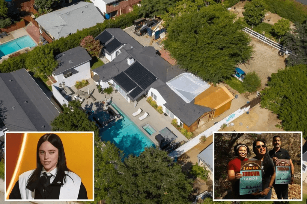 “Enough! I’ve Heard Enough Of The Ridicule. Leave Me Alone, Or I’ll Sue!” — Billie Eilish Angrily Declared In A Recent Interview, Following Her Controversial Grammy Acceptance Speech And Speculation That She Should Return The Land Of Her $14 Million Los Angeles Mansion To The Tongva Tribe. “No Matter What Anyone Says, I Paid To Live Here.” 4 image 418