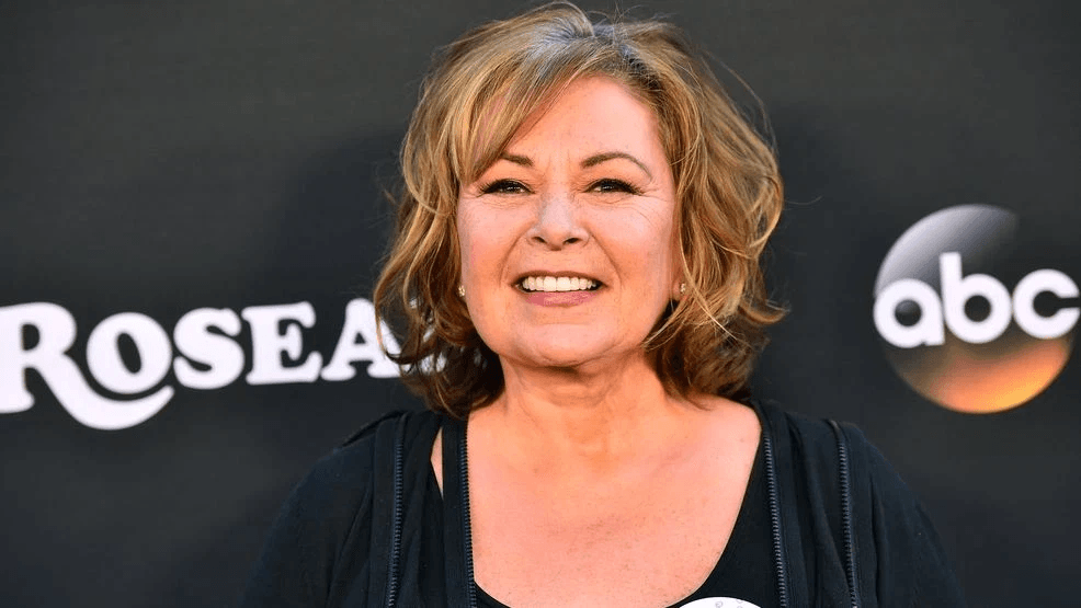 The Hollywood Exodus: How Roseanne Barr, Mark Wahlberg, and Mel Gibson Are Dismantling the “Correctness Era” with Non-Woke Productions 3 image 616