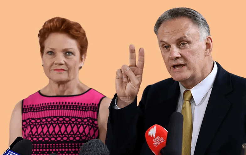 GOOD NEWS: Pauline Hanson Shares Emotional Health Update After Surgery — “I’m Fighting, But I Can’t Do It Alone” 2 image 26