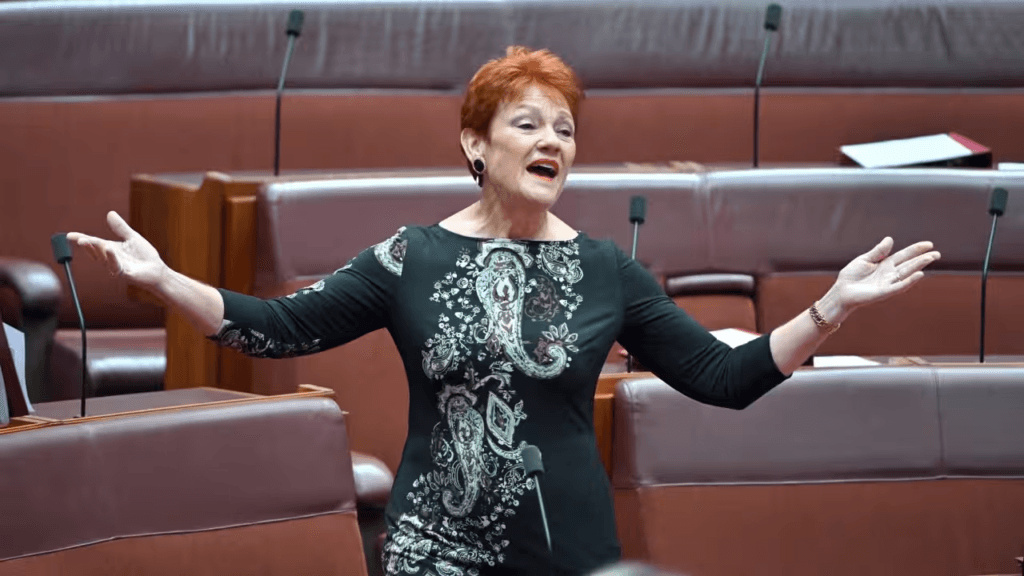 GOOD NEWS: Pauline Hanson Shares Emotional Health Update After Surgery — “I’m Fighting, But I Can’t Do It Alone” 4 image 29
