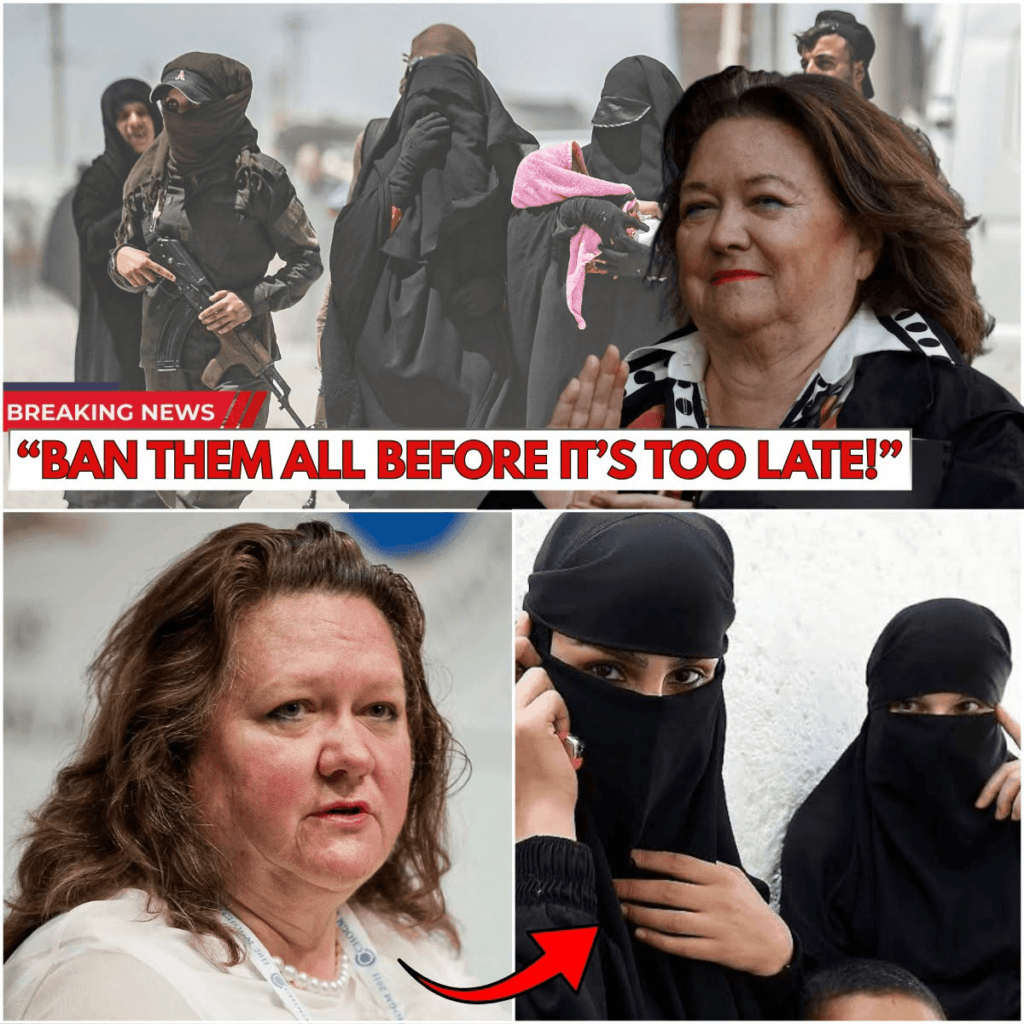BAN THEM ALL BEFORE IT’S TOO LATE!” — GINA RINEHART’S ISIS BAN CALL SPARKS AUSTRALIAN FIRESTORM 1 image