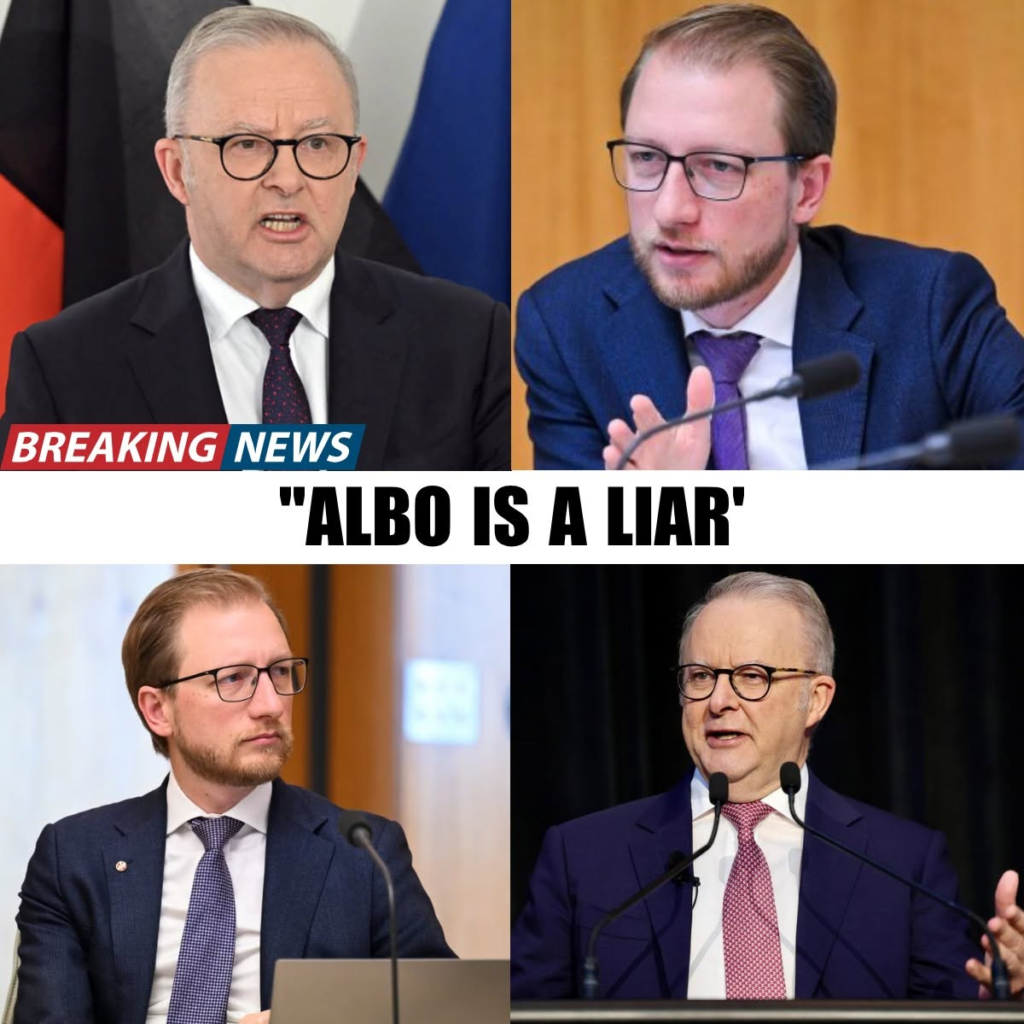 ALBANESE UNDER FIRE AS JAMES PATERSON CHALLENGES PM OVER TRAVEL EXPENSES — “LIES” ALLEGATION SPARKS FRESH CONTROVERSY! 1 image 15