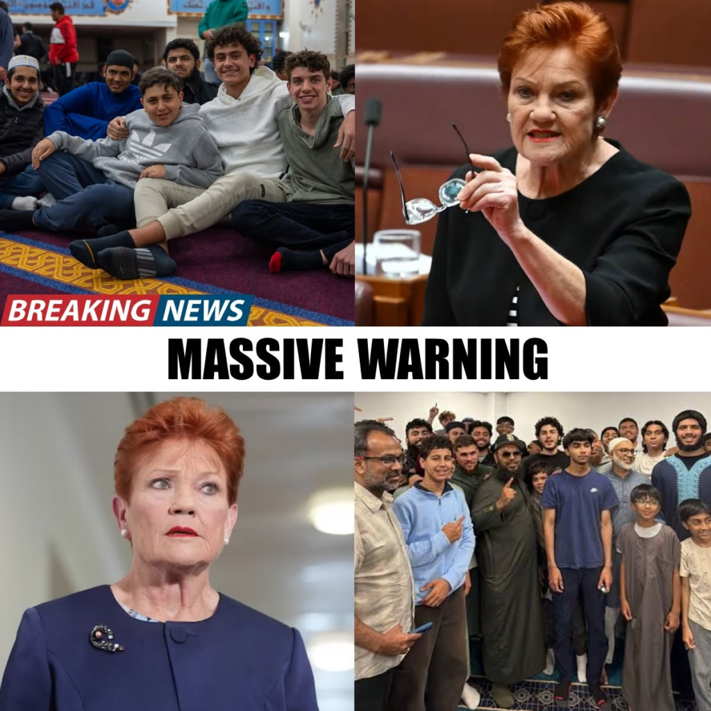 BREAKING! PAULINE HANSON LOSES IT AS ONE NATION IS OPPOSED BY LEBANESE MUSLIM ASSOCIATION 1 image 51