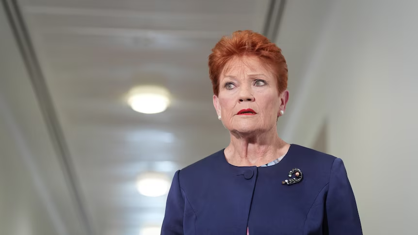 BREAKING! PAULINE HANSON LOSES IT AS ONE NATION IS OPPOSED BY LEBANESE MUSLIM ASSOCIATION 2 image 52