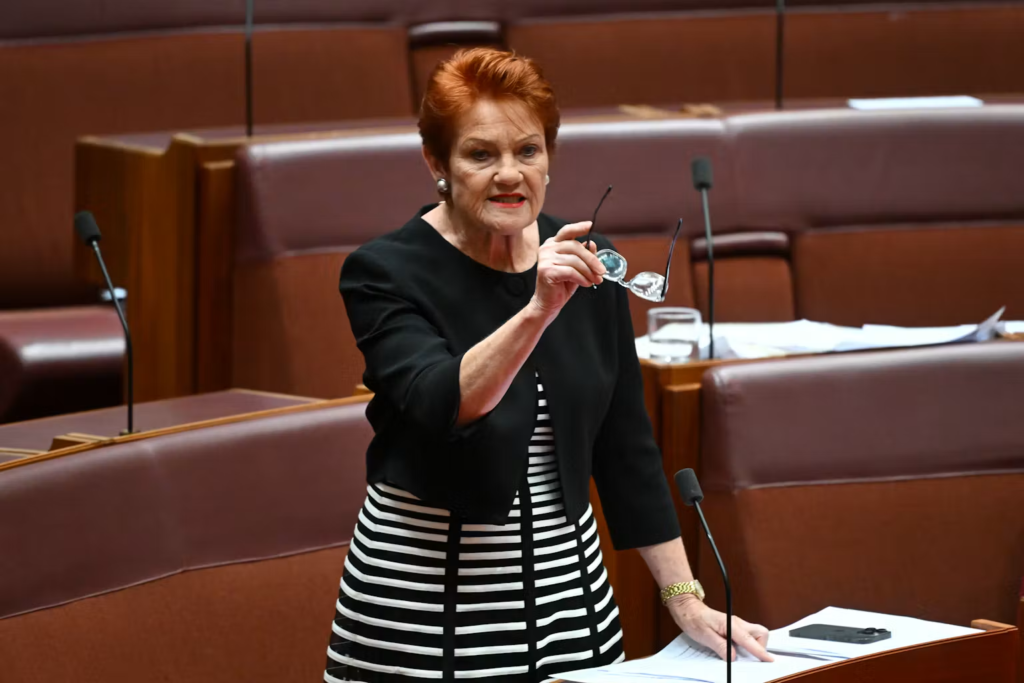 BREAKING! PAULINE HANSON LOSES IT AS ONE NATION IS OPPOSED BY LEBANESE MUSLIM ASSOCIATION 3 image 53
