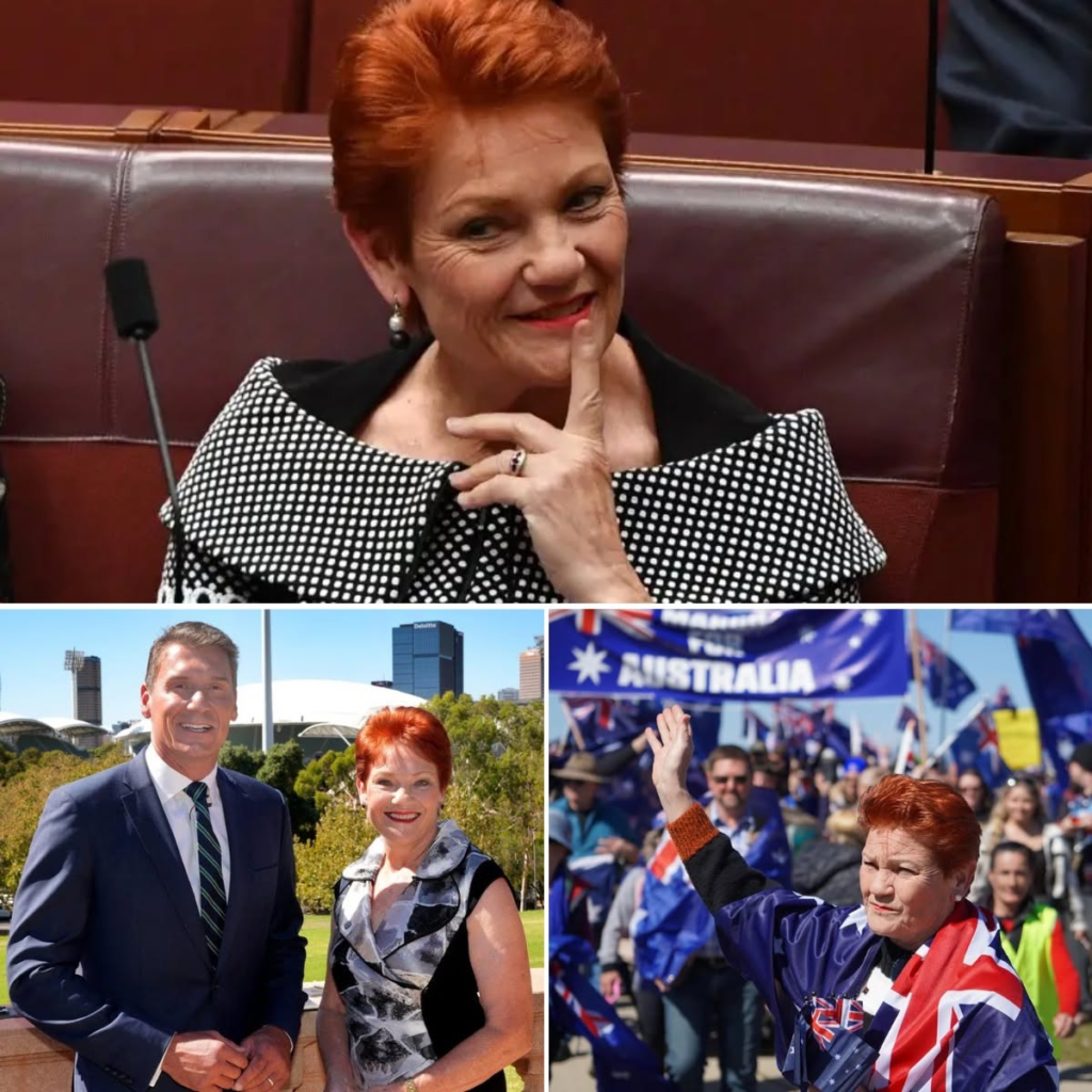 PAULINE HANSON’S MIGRATION GAMBLE: ZERO NET MIGRATION, A 130,000 CAP — AND A POLITICAL STORM IS BUILDING 1 image 65